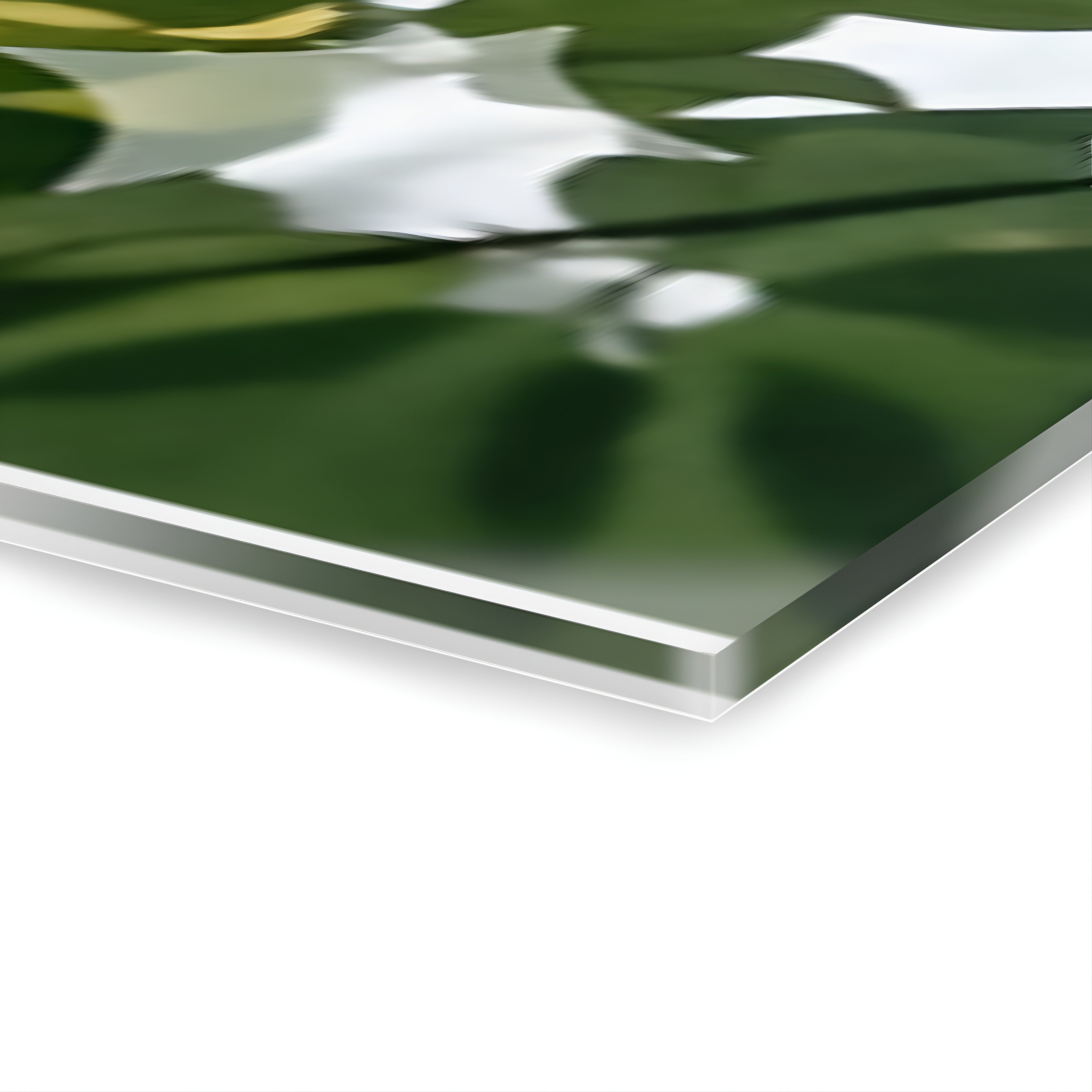 The Ancestral Timber