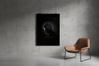 The Introspection
