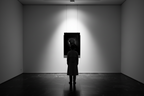 The Introspection