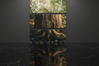 The Ancestral Timber