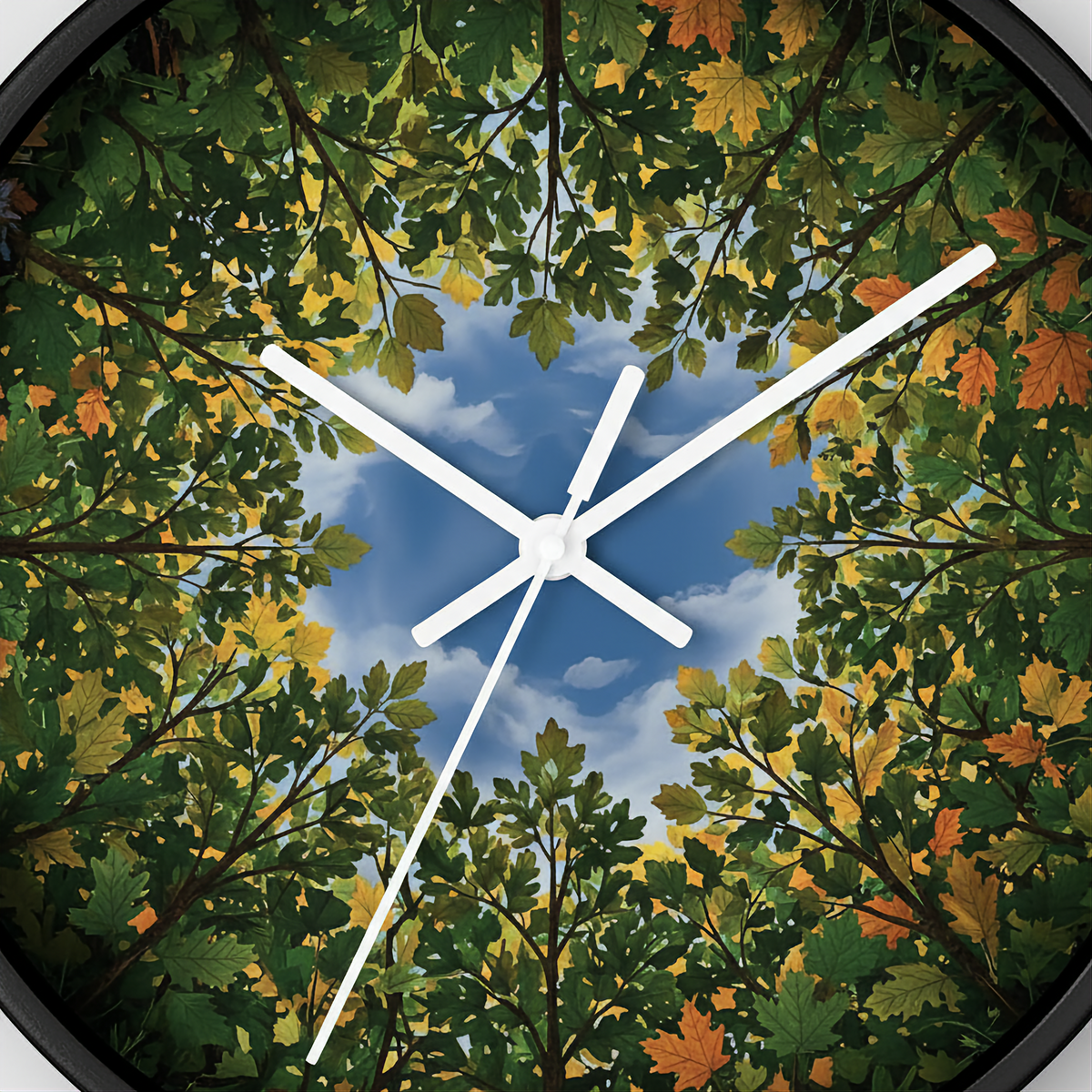 Forest Canopy Gallery Image
